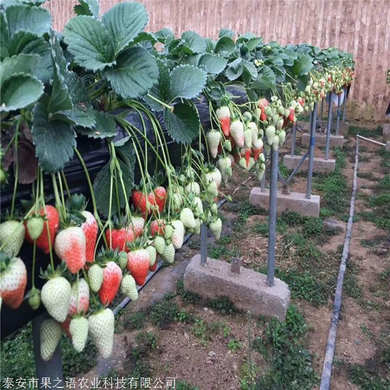 如何为商贸公司找准注册经营范围？